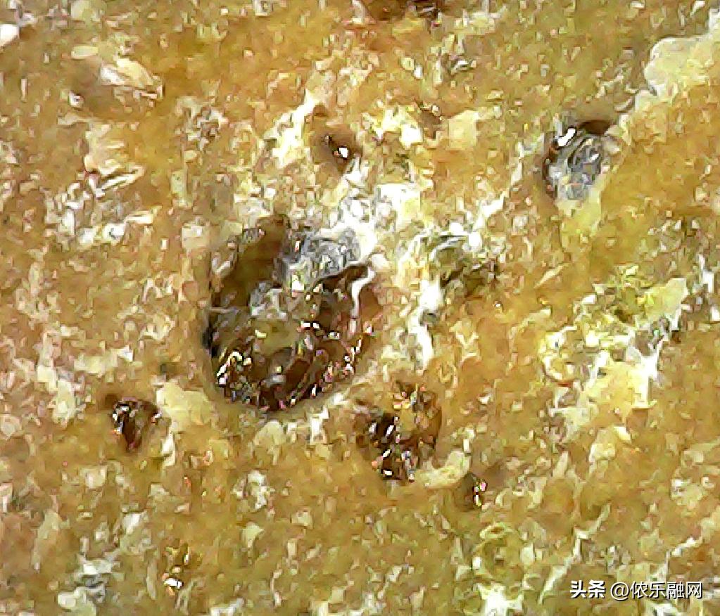 深色基质的都是碳质球粒陨石吗,红色基质黑色球粒是什么陨石