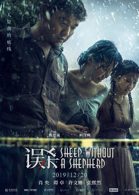 比误杀还好看的国产电影,电影推荐大片误杀9.0以上评分