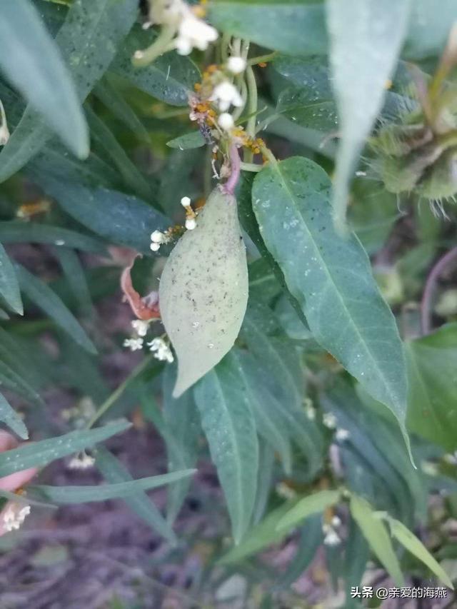 8090怀旧经典零食你都吃过哪些,中国最怀旧的58种经典零食