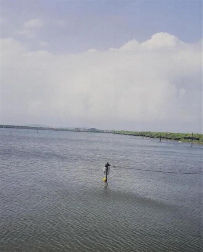 中国军事机密泄密案例,中国最大间谍案例