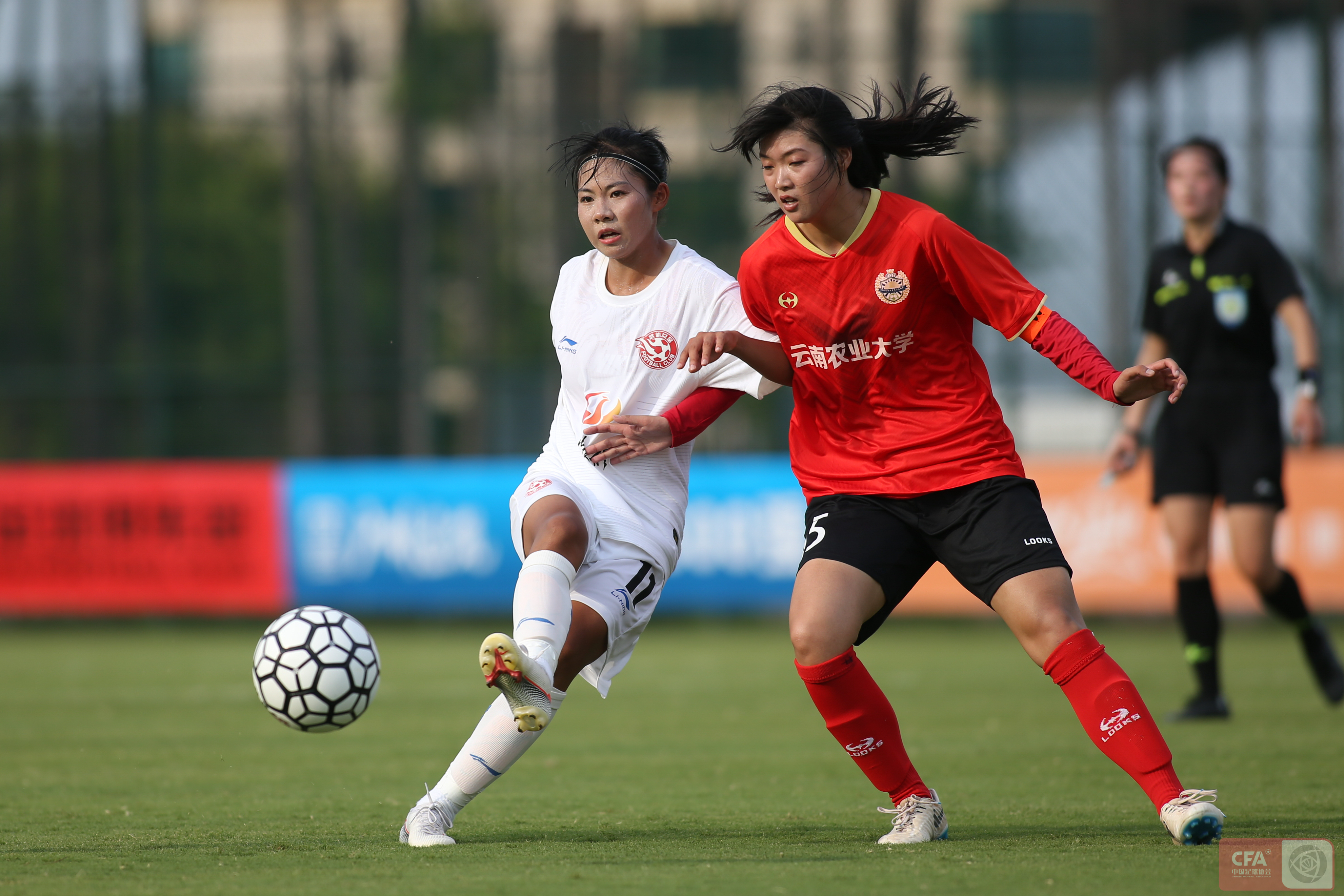 足球集装箱,足球球场集装箱