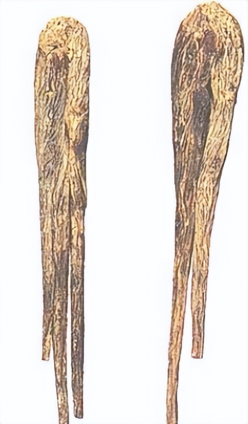 认识红参,带你认识红木