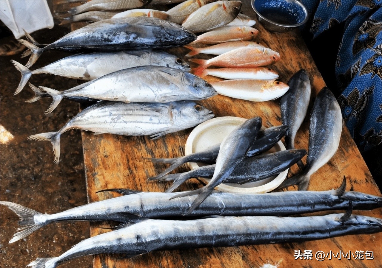 dha吃了真的可以变聪明吗,吃dha真的能提高孩子智商吗