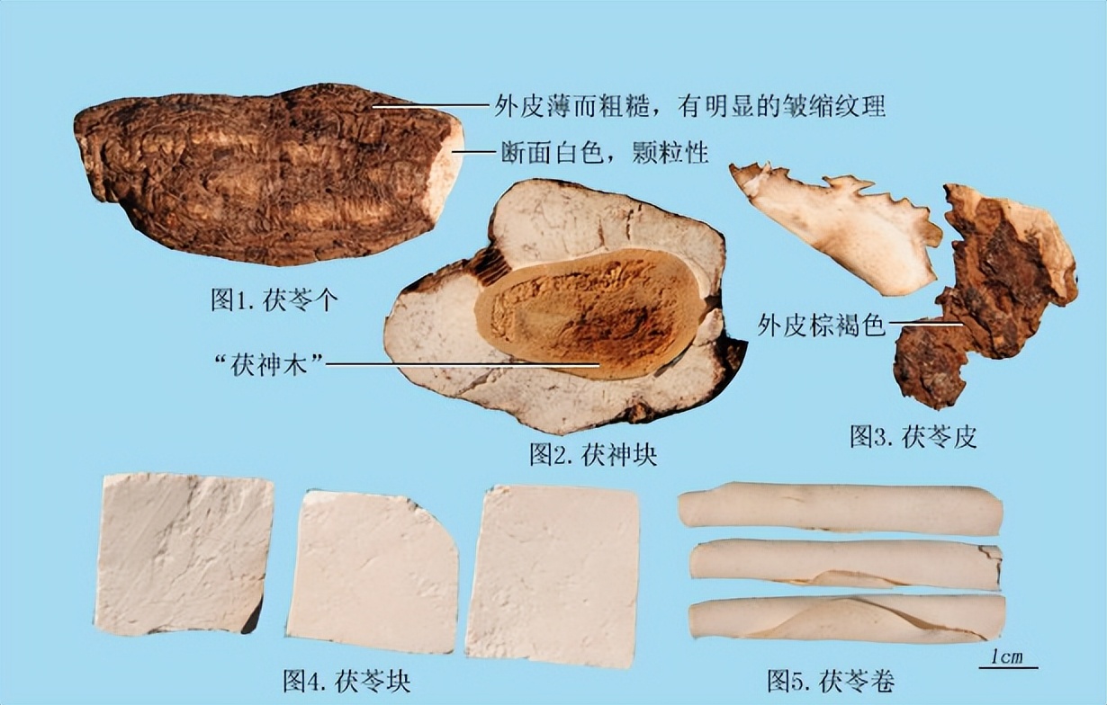 带你识别缅北电信诈骗的套路,带你识别新型毒品