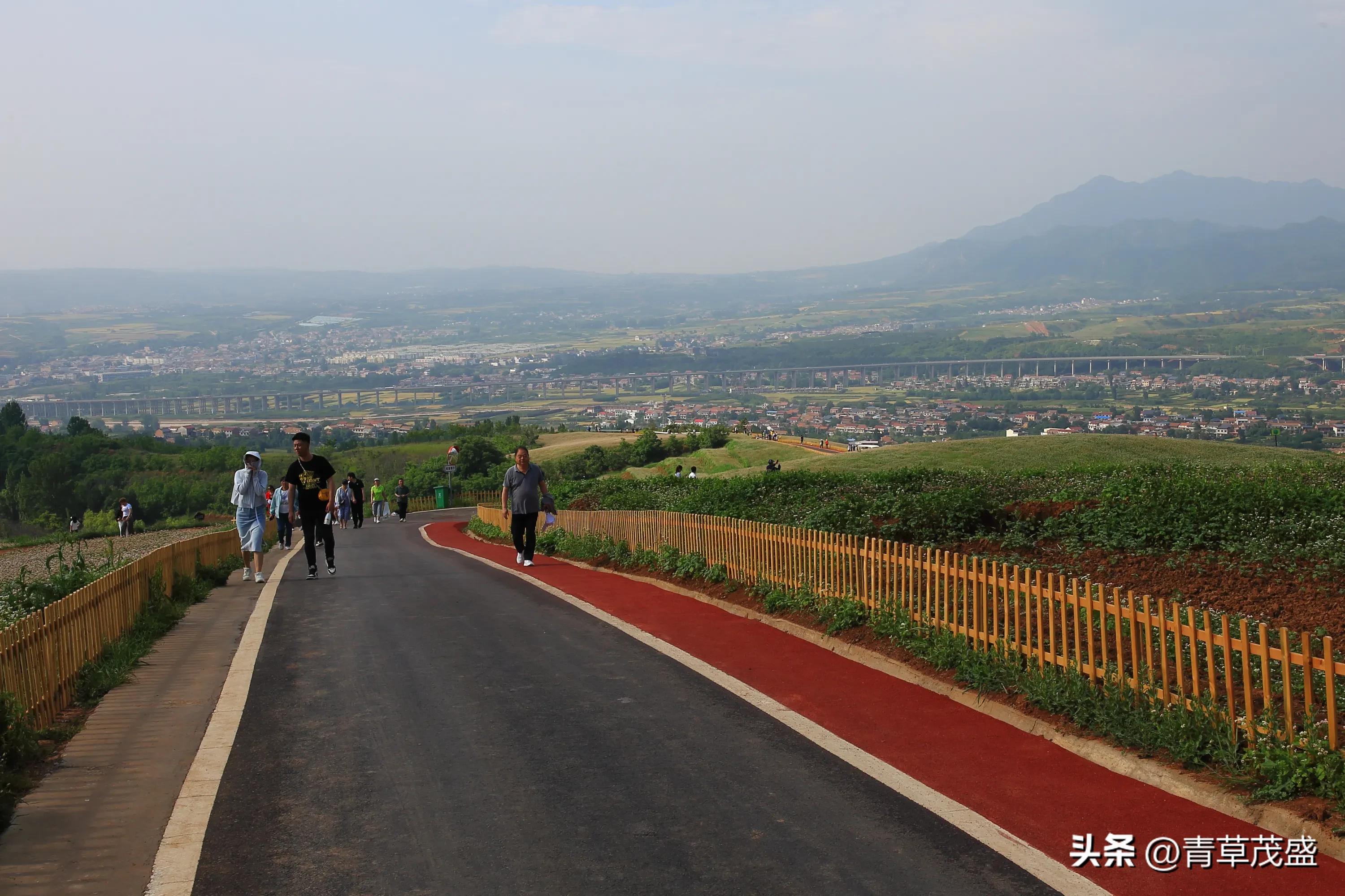 西安蓝田荞麦岭景区,蓝田荞麦岭日出美景视频