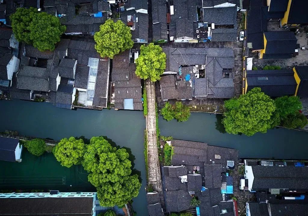 浙商发展史图,浙商历程