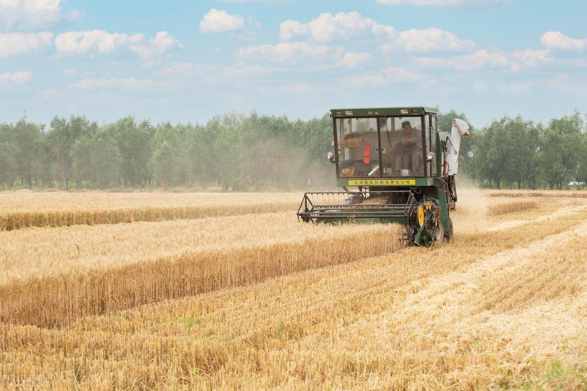 秸秆不让焚烧也不给解决方法,秸秆如何管理与注意事项