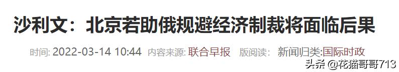 猫哥打比赛,猫哥单挑完整版