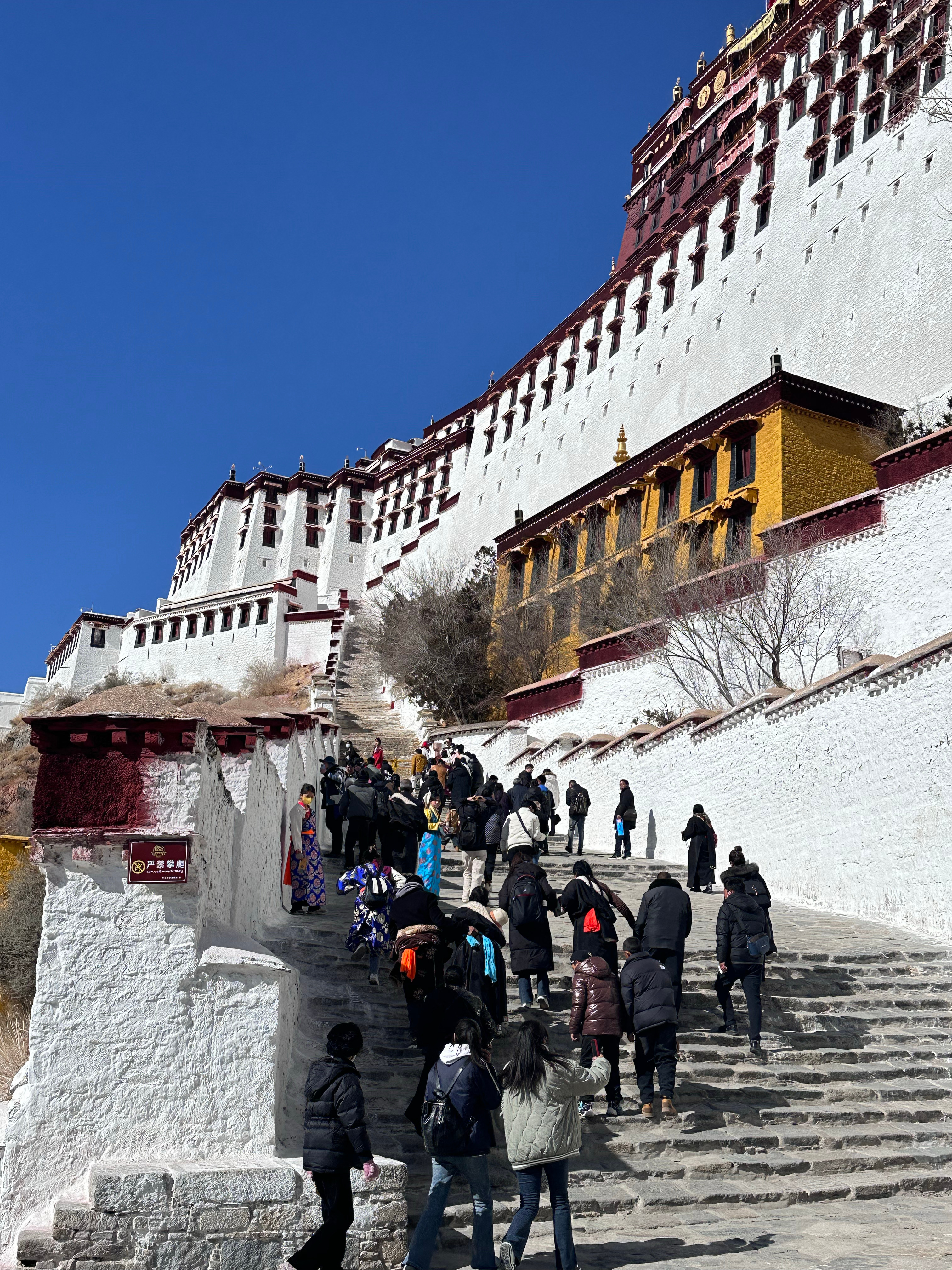 2024*藏西**拉萨旅游攻略，提前收藏必备！