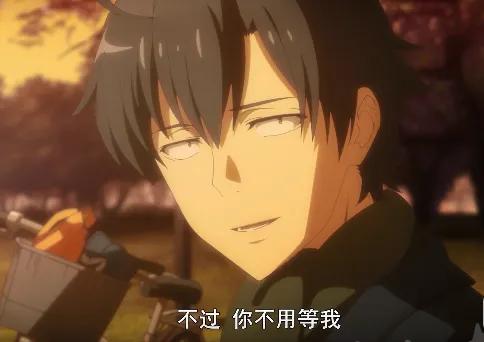 我的青春恋爱物语果然有问题ova,我的青春恋爱物语果然有问题动漫评价