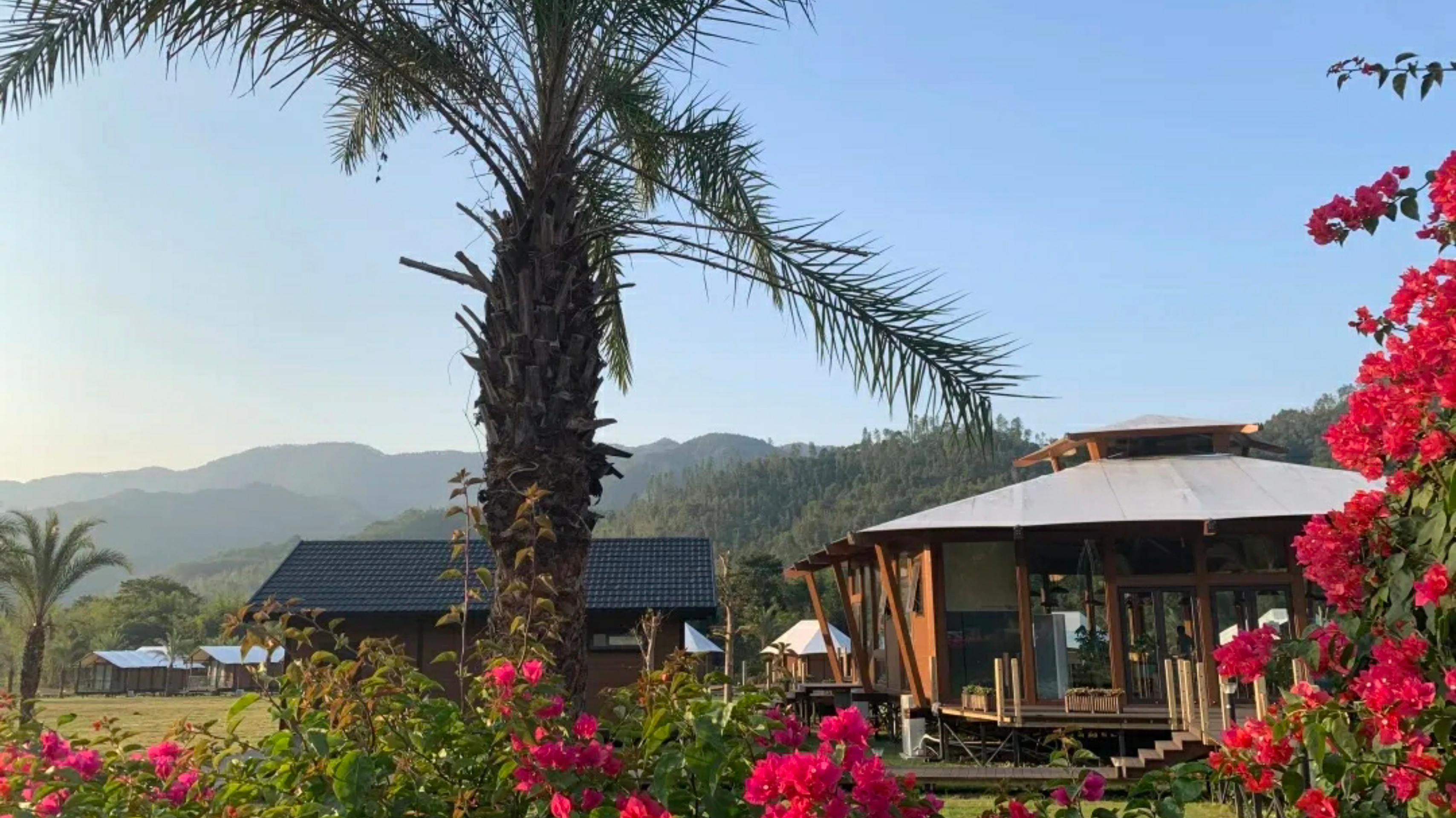 惠州赏梅花地方,惠州惠东梁化镇梅园