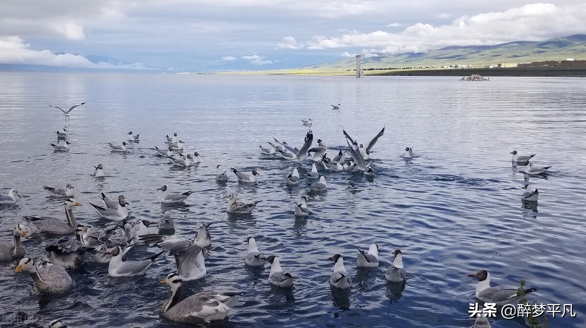 青海湖景区多大,青海湖景区名单