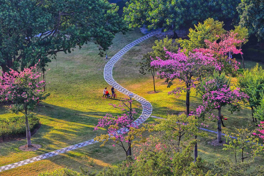 他用镜头记录旅行,他用镜头记录下了一路以来的成长