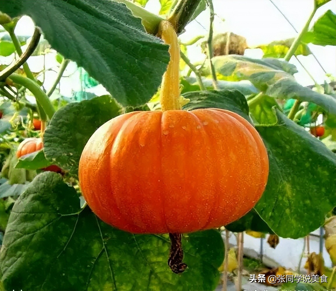 做南瓜糯米饼糯米不够了怎么办,做糯米糍失败了的视频