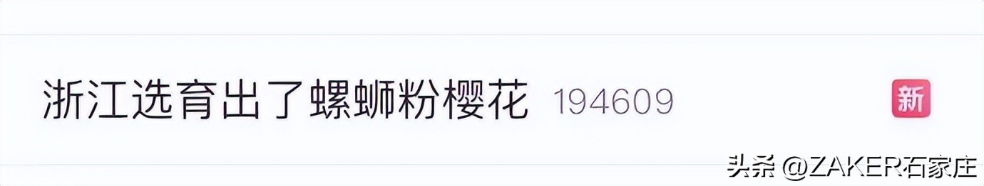 第八批引进高层次科技创新创业人才项目开始申报；河北运动员获得3金2铜；上热搜了！“螺蛳粉”味樱花？