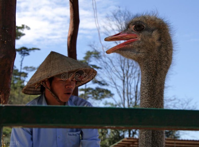 越南生活和中国的差距,越南网友评论越南和中国人种差异