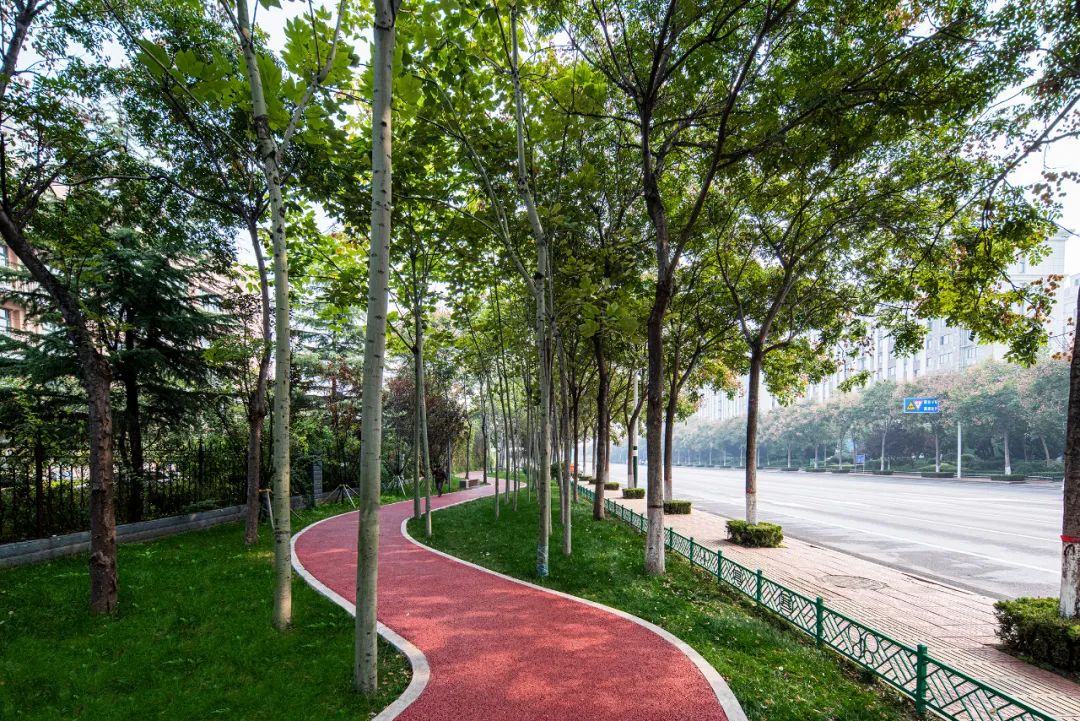 城市中的“绿细胞”：潍坊寒亭区口袋公园/同圆集团