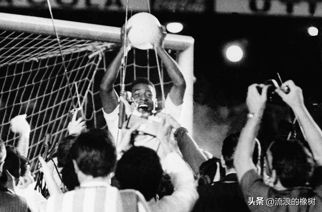 橡树|贝利，我们的足球的“暗号”