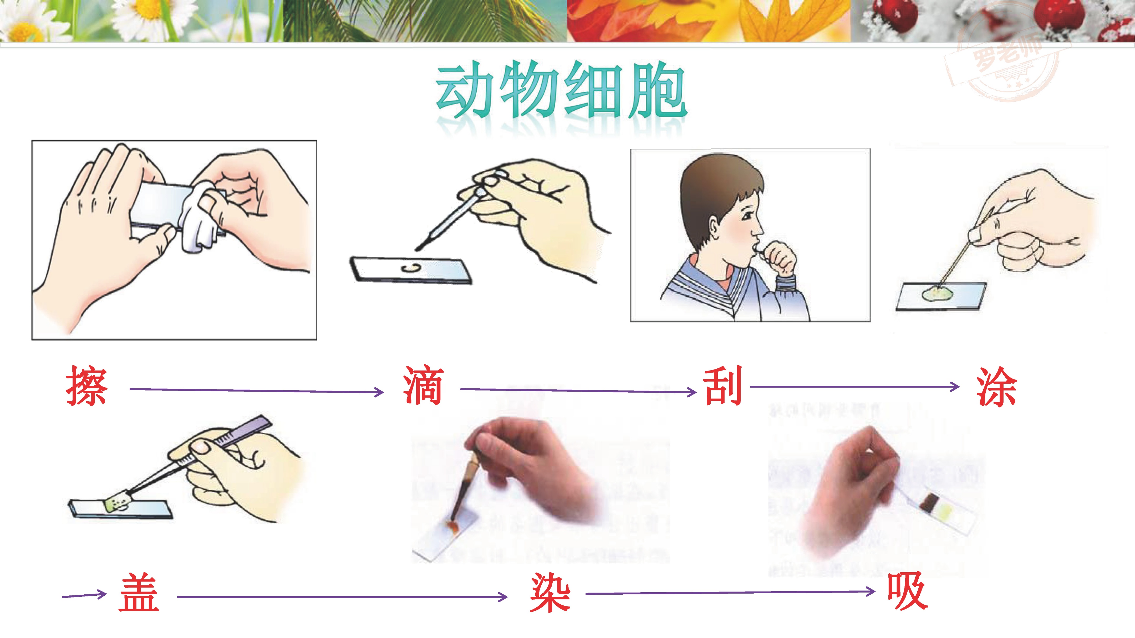 小升初一到六年级复习资料,小升初所有课本