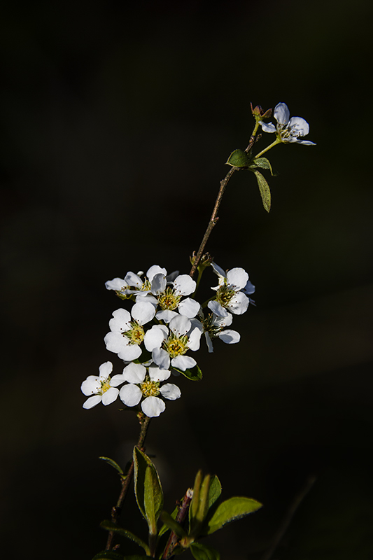 永泰云顶天池,永泰云顶天池门票