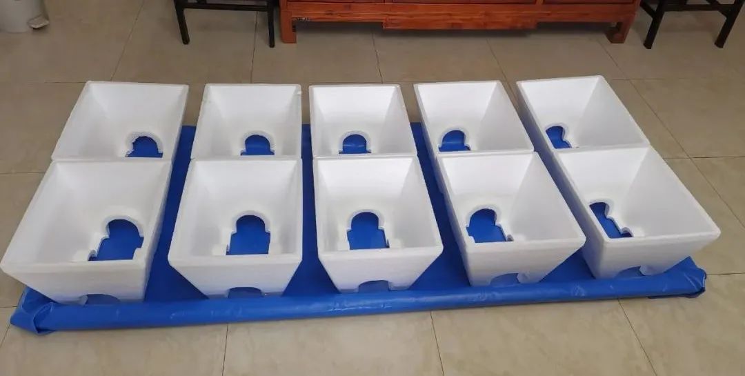 浅池二培,浅池厌氧