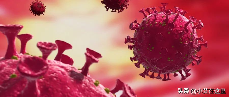 当感冒病毒遇到新冠病毒,当新冠病毒遇到乙肝病毒