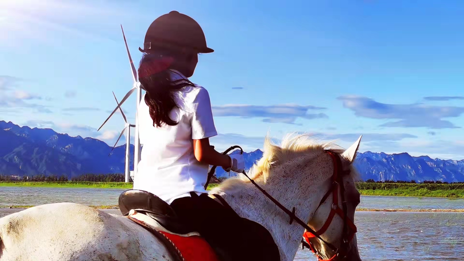 2023华杯赛夏令营,华誉外交官