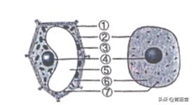 2021年黑龙江省龙东地区中考生物试卷