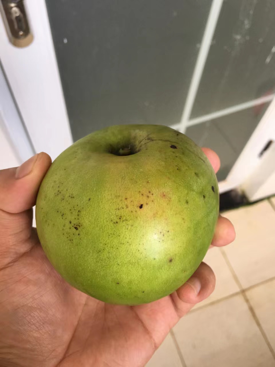 青山印尼项目,青山印尼钢铁厂