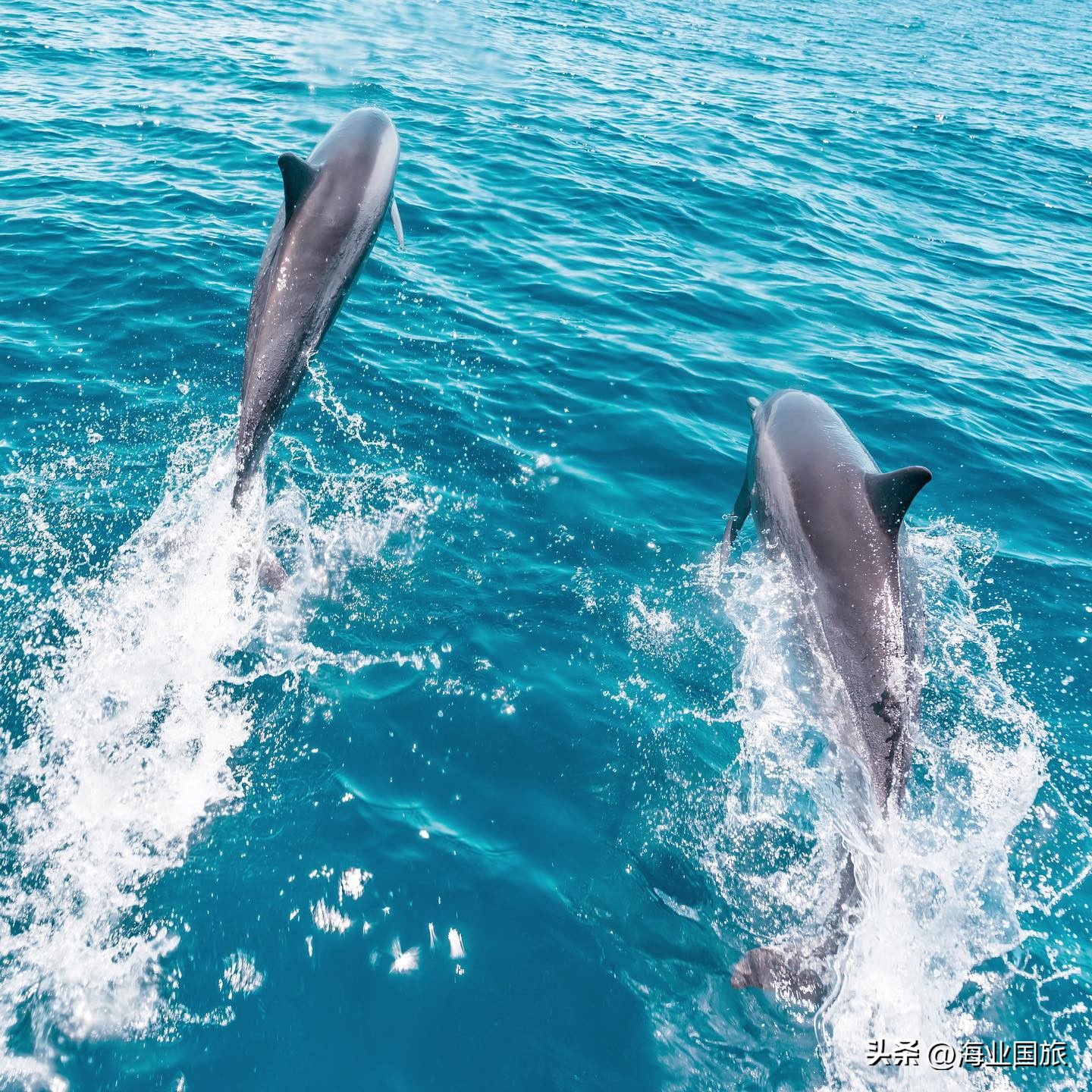 马尔代夫艾美酒店沙屋,马尔代夫艾美水疗度假酒店