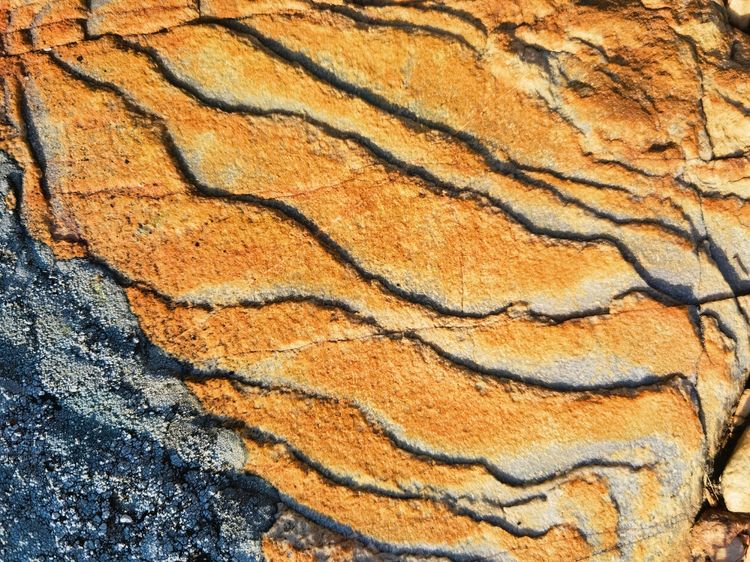 旅顺城山,旅顺城山怎么绕过去