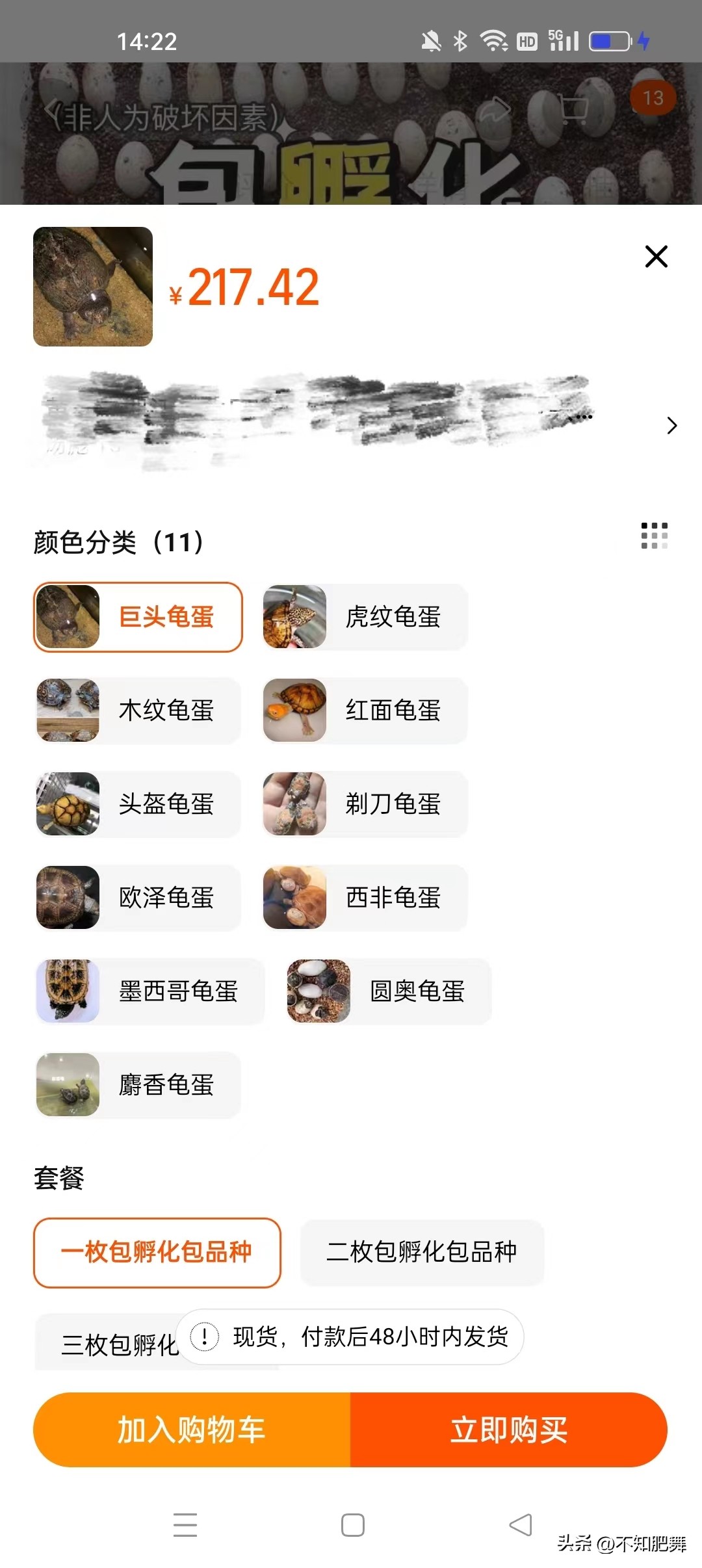 直播卖龟的平台有哪些,淘宝直播卖龟蛋