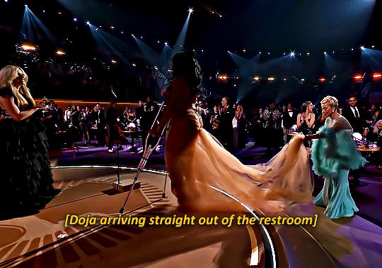 豆荚猫红色造型秀场,豆荚猫秀场图片