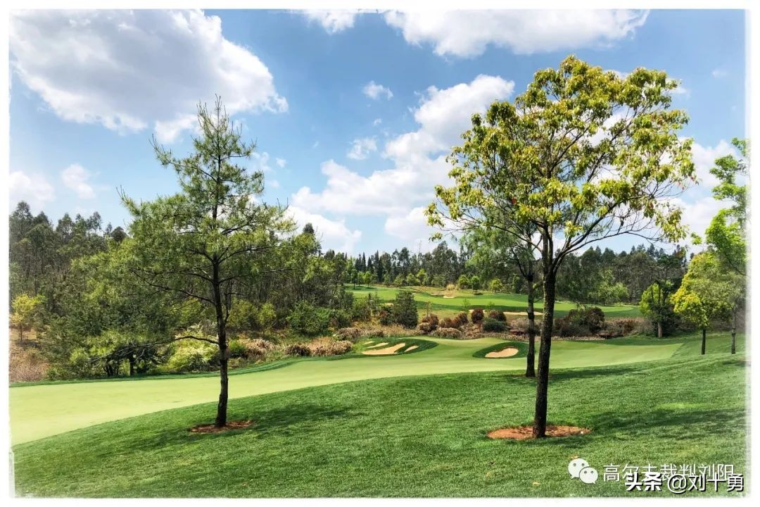 高尔夫球新规什么情况下可以动球,高尔夫球新规什么时候改的