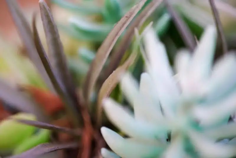 宾得新款16-50评测,宾得镜头18-135样片测评