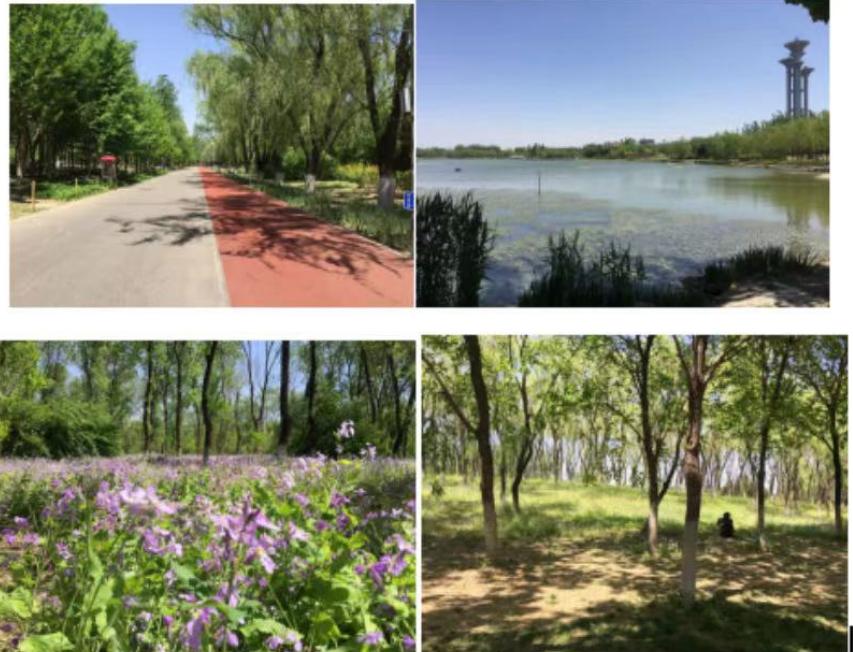 结婚父母没有给嫁妆还拿了我彩礼,父母把我的嫁妆钱都给了老公