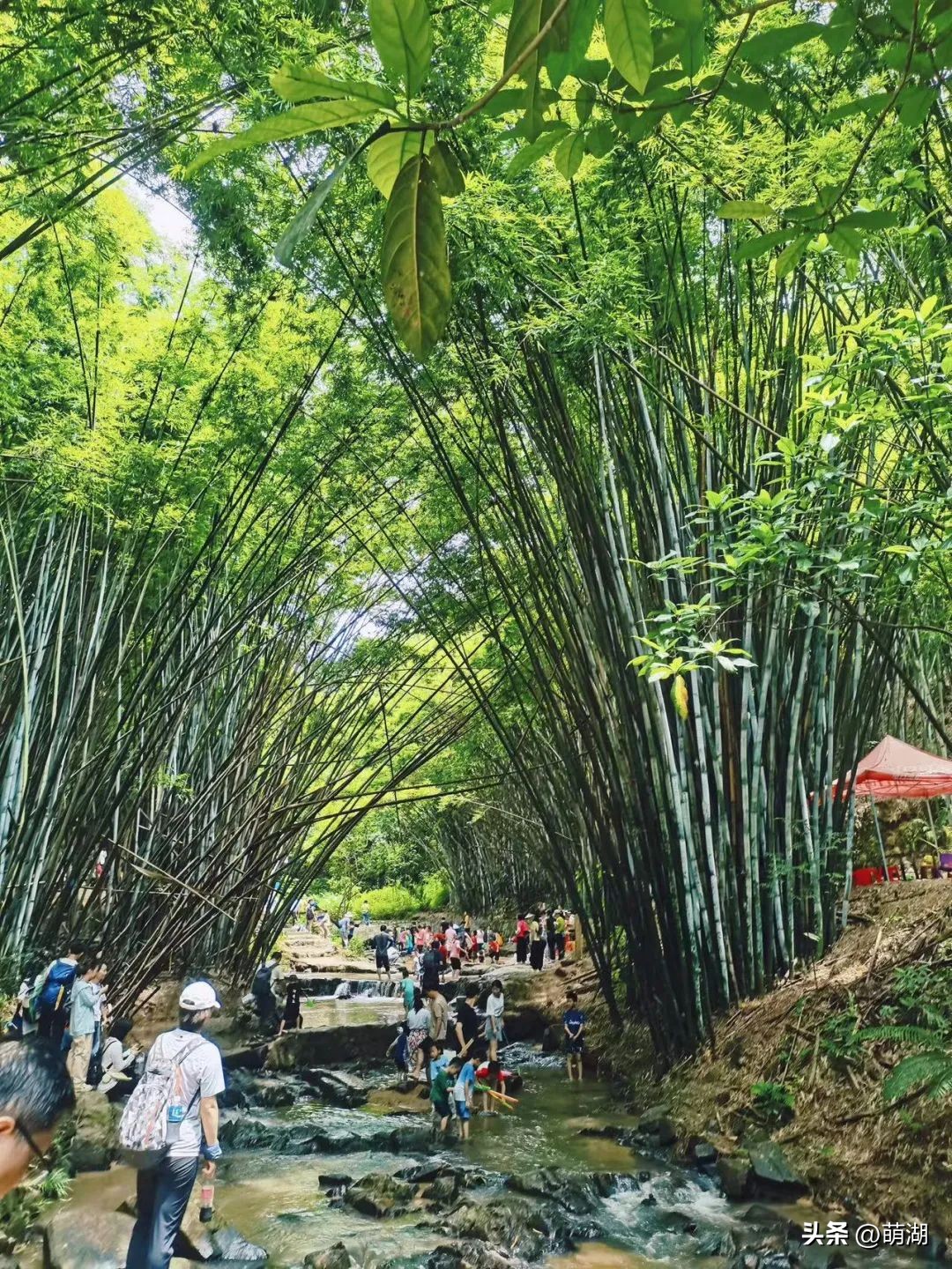 广州这个竹林溯溪胜地玩水,清凉避暑好去处山洞里一起来玩水