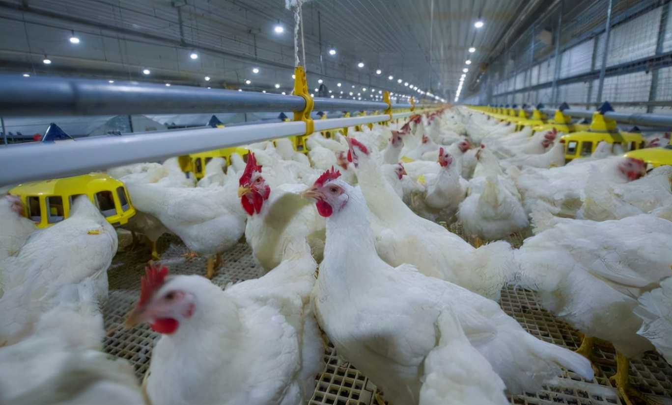 经常点外卖会致癌吗,经常点外卖的你应该知道这些事