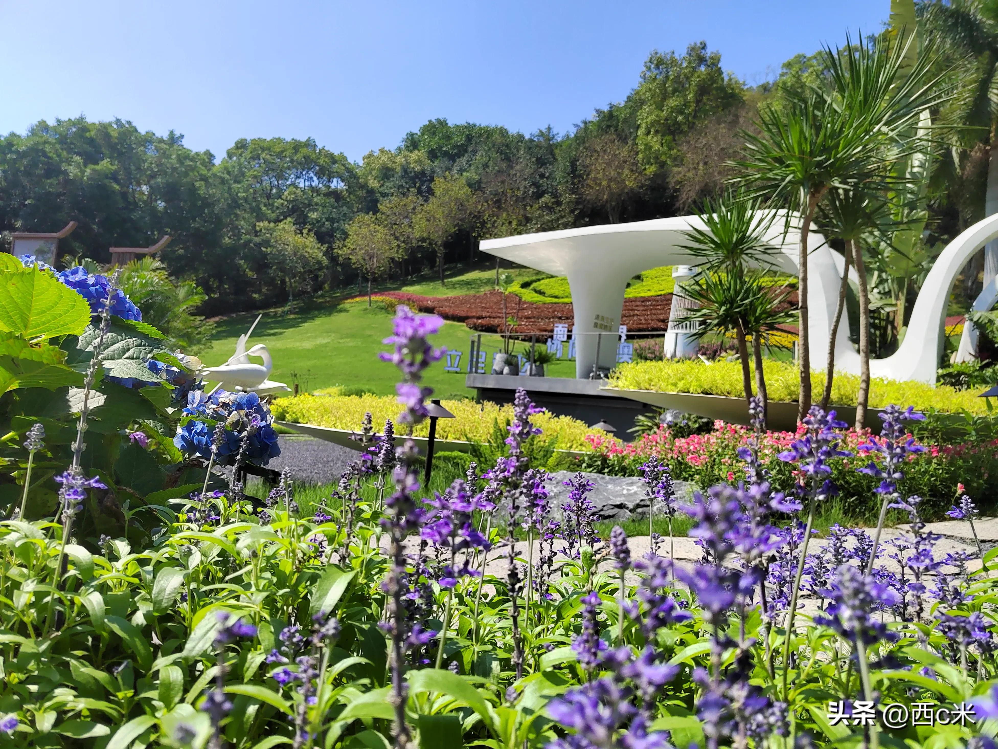 骞垮窞娓哥帺鏀荤暐,骞垮窞鐧戒簯灞变粠鍝釜闂ㄨ繘姣旇緝濂界帺