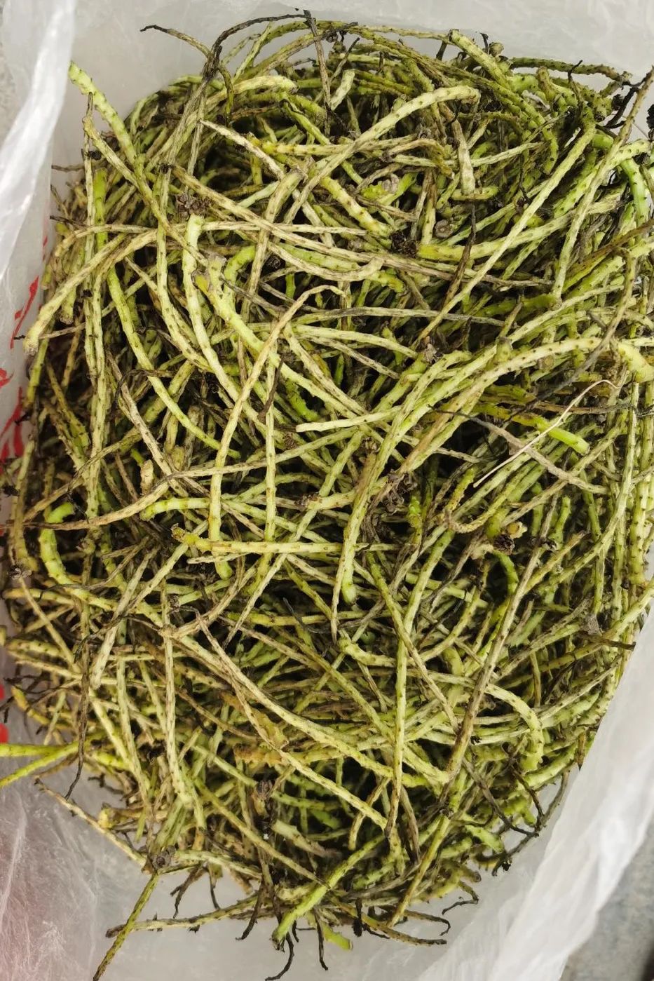 碳水*弹炸**配肉食，甘肃人的年味有多“攒劲”？