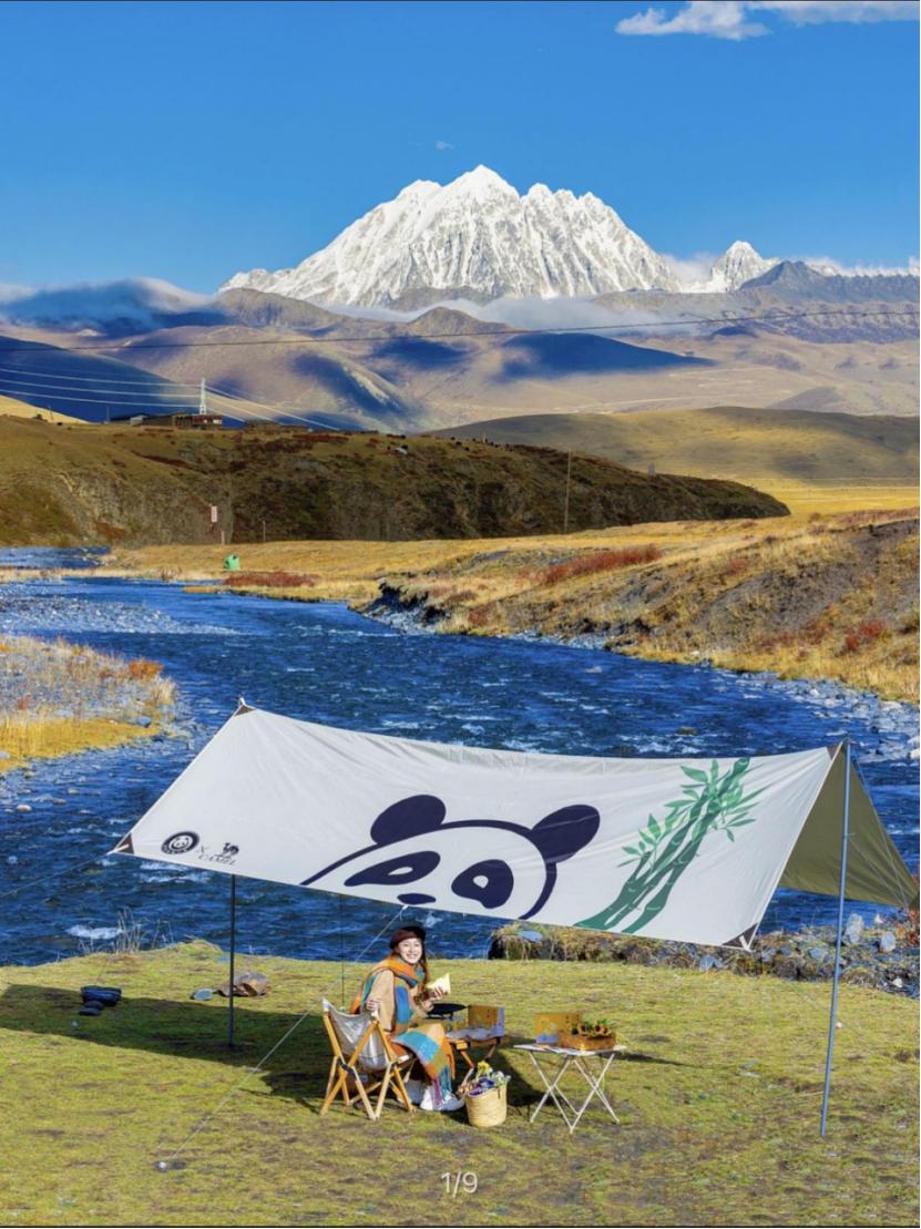 从国货之光到民族之耻,从国货之光到汽车霸主