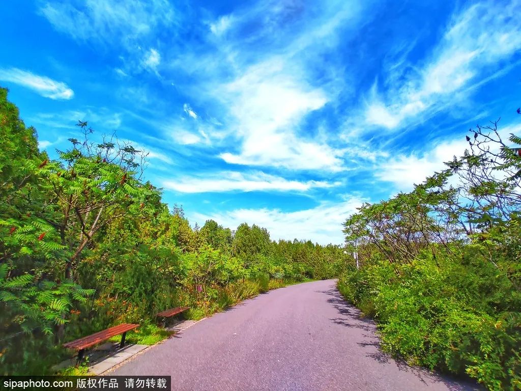 北京周末公园推荐,夏季北京公园好去处