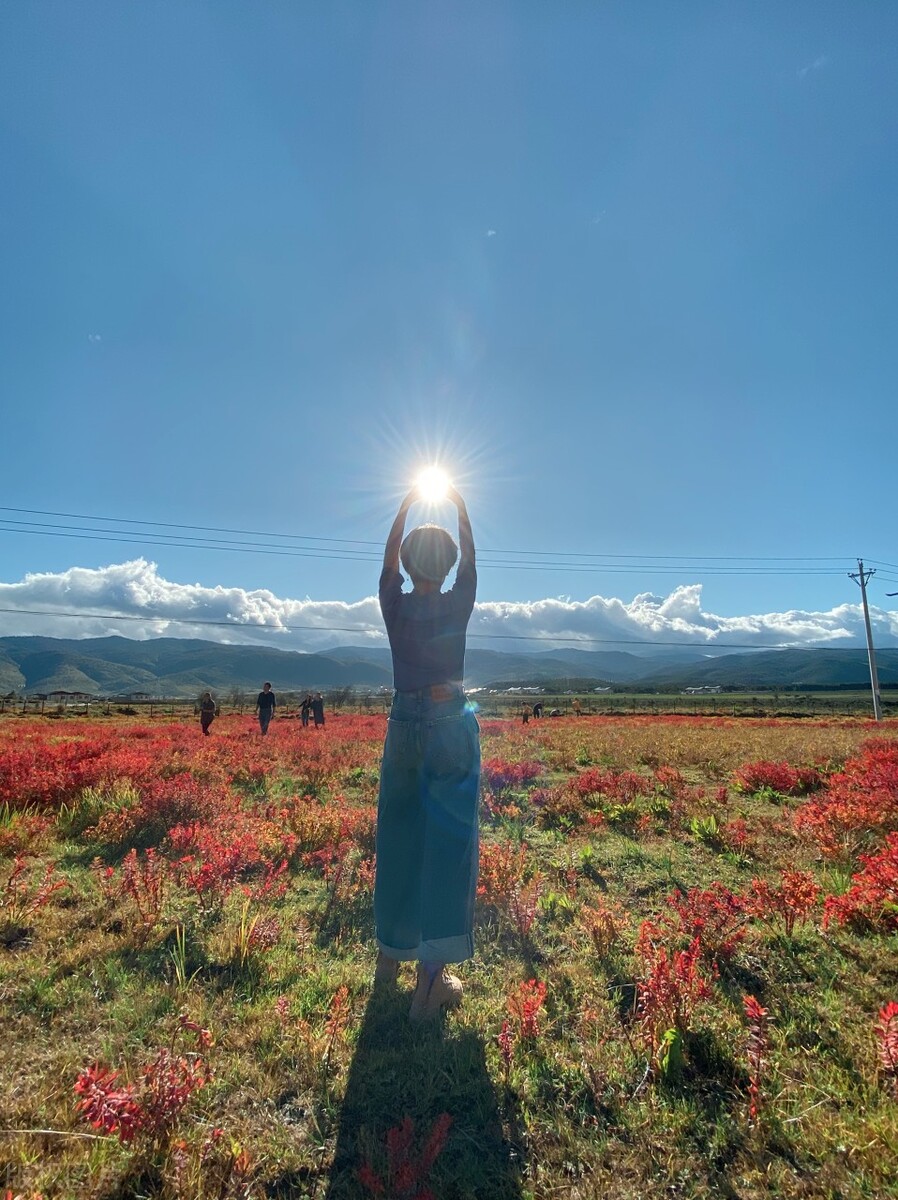 云南香格里拉旅游攻略自由行攻略,云南香格里拉自由行旅游攻略大全