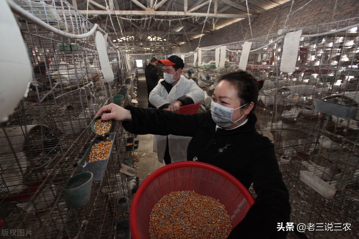 楦藉瓙鍚冧粈涔堢渷閽卞張鍋ュ悍,楦藉瓙鍚冧粈涔堟瘮杈冪渷閽卞張濂藉悆