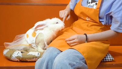 五一节去哪里玩最刺激,五一不可错过的好去处