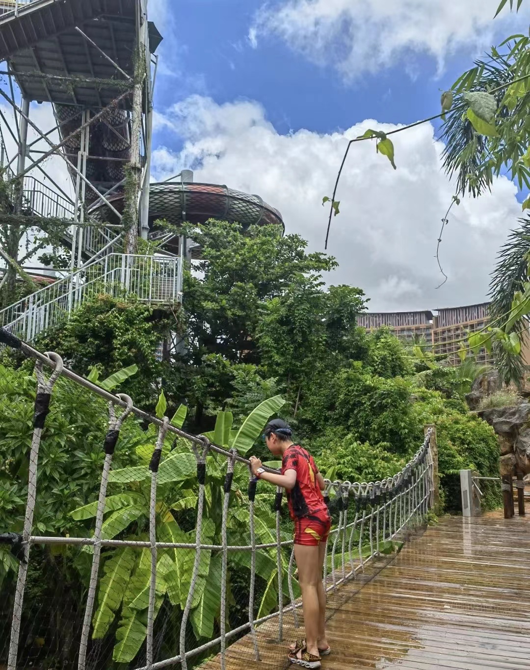 海南三亚湾红树林,三亚湾哪个红树林最好