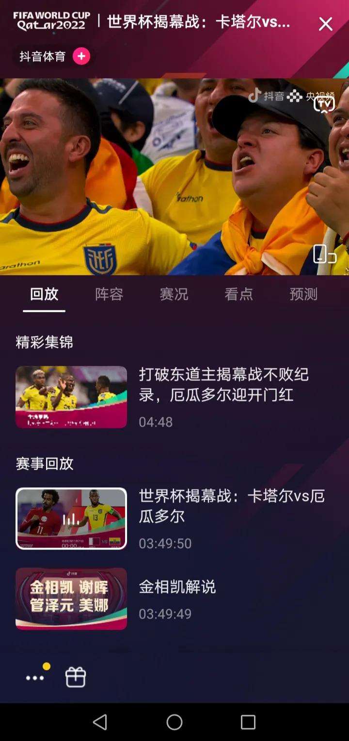 世界杯无障碍直播回放日本,世界杯直播录像回放日本