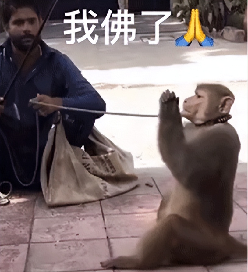 阳痿，男明星的福报