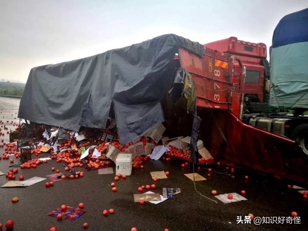 为什么国内不允许改装车上路,改装车不允许上路为什么还要改