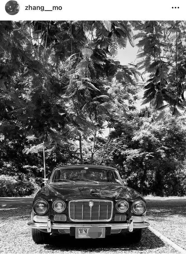 张国立张默事件,张国立谈论张默